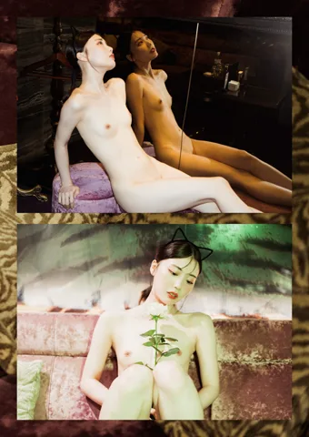 #LadyMary 36